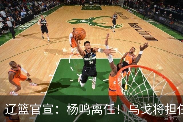 辽篮官宣：杨鸣离任！乌戈将担任辽宁男篮主帅